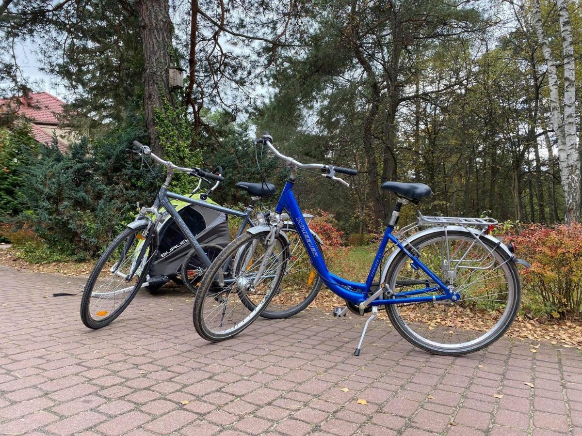 Park Rekreacyjno-Biznesowy Las Woda Wilga Eksteriør billede